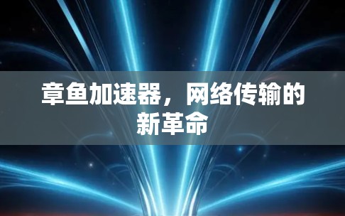 章鱼加速器，网络传输的新革命