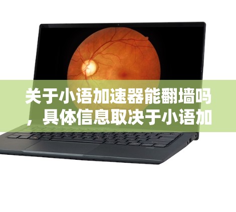 关于小语加速器能翻墙吗，具体信息取决于小语加速器的定义和应用场景。以下是一些可能的解释