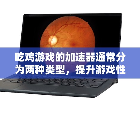 吃鸡游戏的加速器通常分为两种类型，提升游戏性能的加速器和优化移动体验的加速器。翻墙功能通常属于优化移动体验的一部分，而不是游戏官方提供的功能。因此，吃鸡游戏本身并没有明确的翻墙功能
