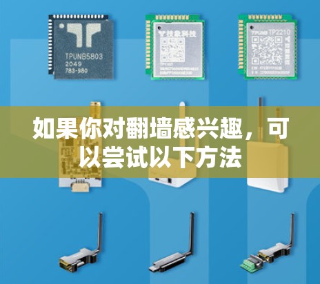 如果你对翻墙感兴趣，可以尝试以下方法