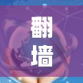 翻墙的具体操作流程