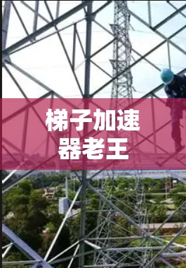 梯子加速器老王