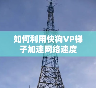 如何利用快狗VP梯子加速网络速度