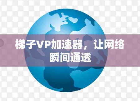 梯子VP加速器，让网络瞬间通透