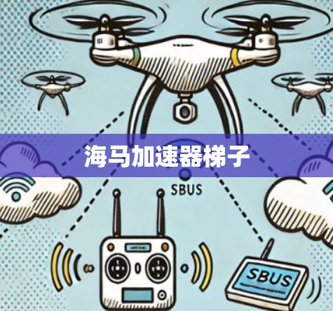 海马加速器梯子