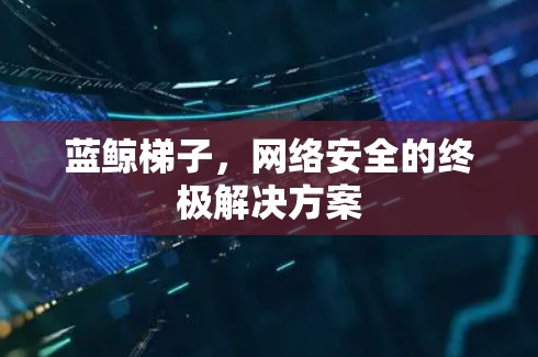 蓝鲸梯子，网络安全的终极解决方案