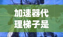 加速器代理梯子是一种用于优化Java类编译器的工具，旨在提升代码的可执行性。以下是关于加速器代理梯子的详细总结
