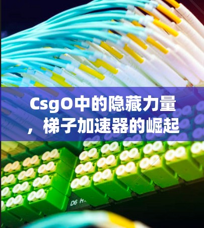 CsgO中的隐藏力量，梯子加速器的崛起