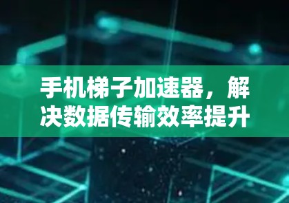 手机梯子加速器，解决数据传输效率提升的关键工具，你值得拥有！