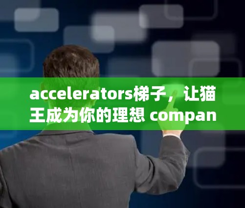 accelerators梯子，让猫王成为你的理想 companion