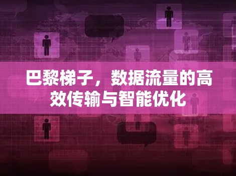 巴黎梯子，数据流量的高效传输与智能优化