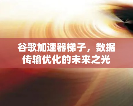 谷歌加速器梯子，数据传输优化的未来之光