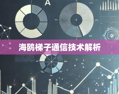 海鸥梯子通信技术解析