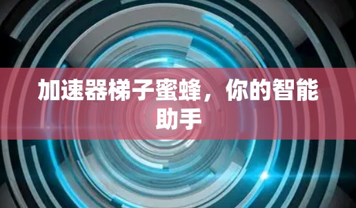 加速器梯子蜜蜂，你的智能助手