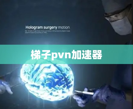 梯子pvn加速器