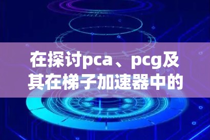 在探讨pca、pcg及其在梯子加速器中的应用时，可以总结出以下几点