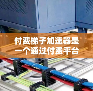 付费梯子加速器是一个通过付费平台提供给用户高级内容营销工具，帮助用户快速提升流量和转化率。以下是关于付费梯子加速器的详细分析