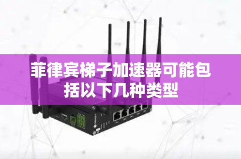菲律宾梯子加速器可能包括以下几种类型