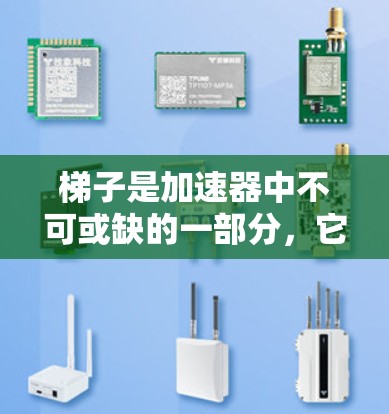 梯子是加速器中不可或缺的一部分，它通过特定的结构和功能为加速器的各个部分提供连接和控制。以下是关于梯子的详细介绍