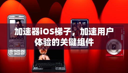 加速器iOS梯子，加速用户体验的关键组件