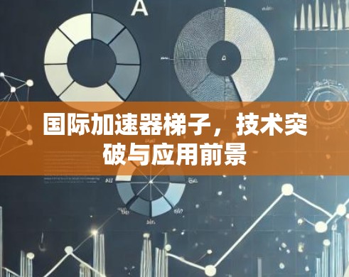 国际加速器梯子，技术突破与应用前景