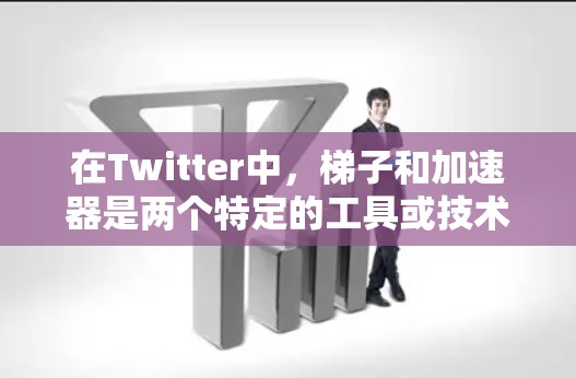在Twitter中，梯子和加速器是两个特定的工具或技术，它们在社交媒体上帮助用户快速传播和获取信息。以下是它们的详细解释