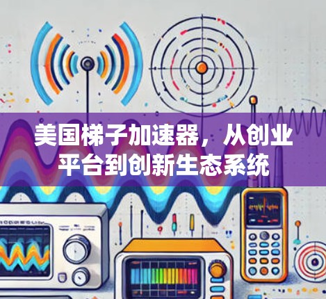 美国梯子加速器，从创业平台到创新生态系统