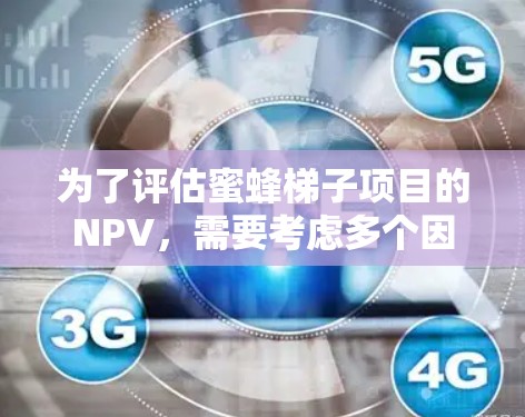为了评估蜜蜂梯子项目的NPV，需要考虑多个因素，包括初始投资、未来现金流、回报周期、风险、市场需求、法律合规性以及项目的财务预测。以下是详细的分析