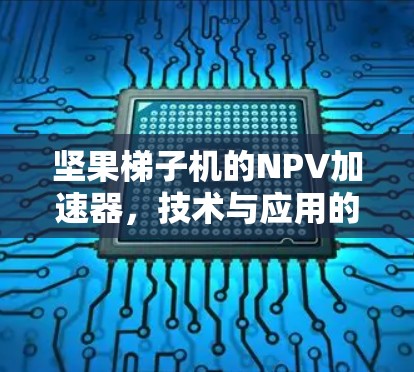 坚果梯子机的NPV加速器,技术与应用的深度突破 坚果梯子机的NPV加速器,技术与应用的深度突破