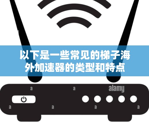 以下是一些常见的梯子海外加速器的类型和特点
