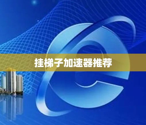 挂梯子加速器推荐
