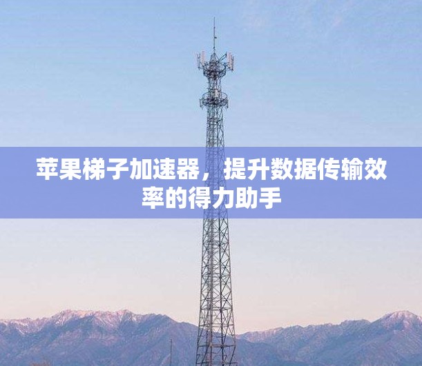 苹果梯子加速器，提升数据传输效率的得力助手