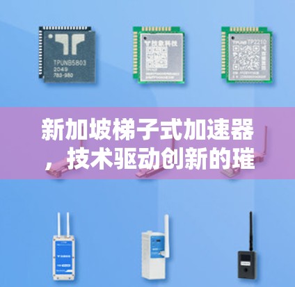 新加坡梯子式加速器，技术驱动创新的璀璨明珠