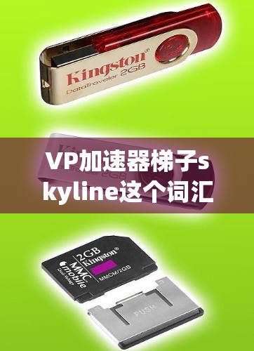 VP加速器梯子skyline这个词汇可能指代一个结合速度提升和结构优化的技术或产品。以下是一些可能的解释和建议