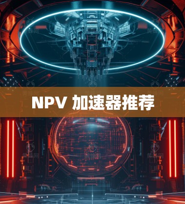 NPV 加速器推荐