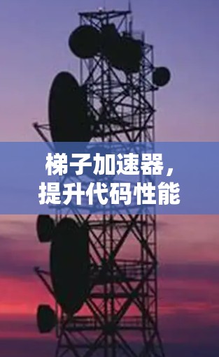 梯子加速器，提升代码性能的实用指南