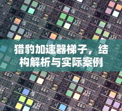 猎豹加速器梯子，结构解析与实际案例