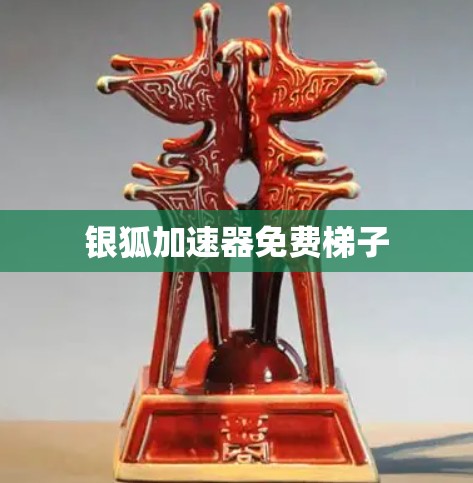银狐加速器免费梯子