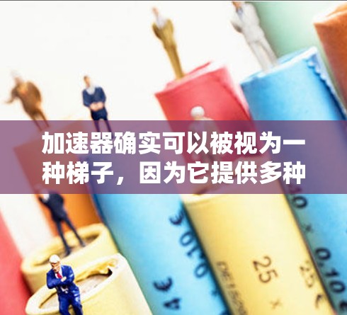 加速器确实可以被视为一种梯子，因为它提供多种解决方案和方法，帮助用户快速升级技术能力或实现目标。以下是详细的解释