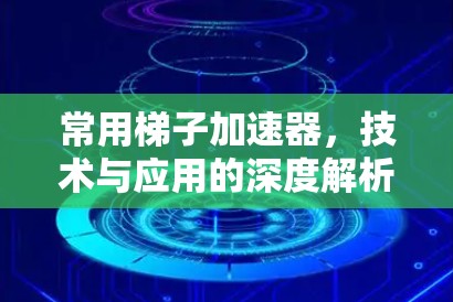 常用梯子加速器，技术与应用的深度解析
