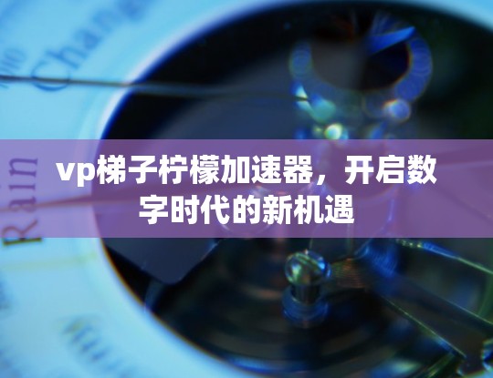vp梯子柠檬加速器，开启数字时代的新机遇