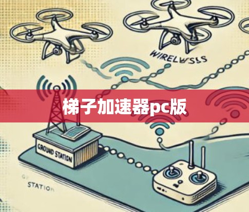 梯子加速器pc版