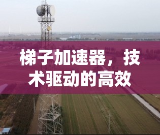 梯子加速器，技术驱动的高效加速之道