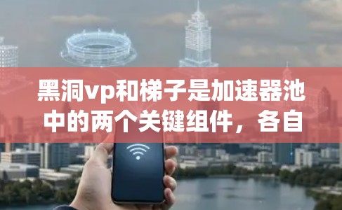 黑洞vp和梯子是加速器池中的两个关键组件，各自在不同的场景下发挥着重要作用。以下是对它们的详细分析