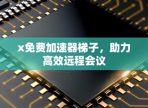 x免费加速器梯子，助力高效远程会议