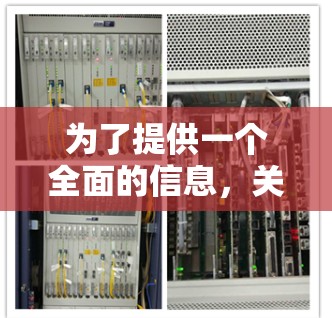 为了提供一个全面的信息，关于黑豹VP加速器梯子，以下是详细的分析和推荐