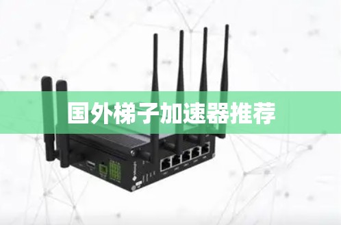 国外梯子加速器推荐