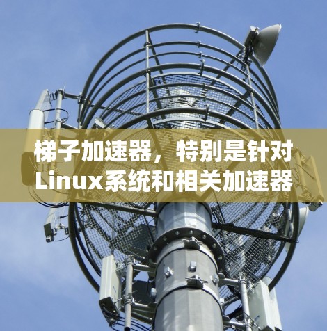 梯子加速器，特别是针对Linux系统和相关加速器，主要包括以下几种类型