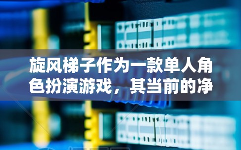 旋风梯子作为一款单人角色扮演游戏，其当前的净现值（NPV）可能为负，因此需要通过加速器来提高其NPV。以下是一些可能的旋风梯子加速器建议
