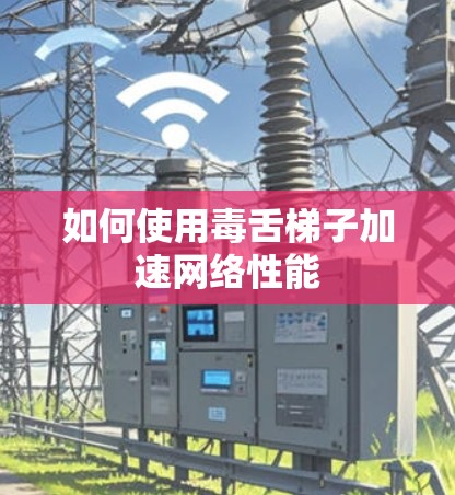 如何使用毒舌梯子加速网络性能